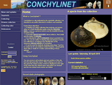 Tablet Screenshot of conchylinet.com